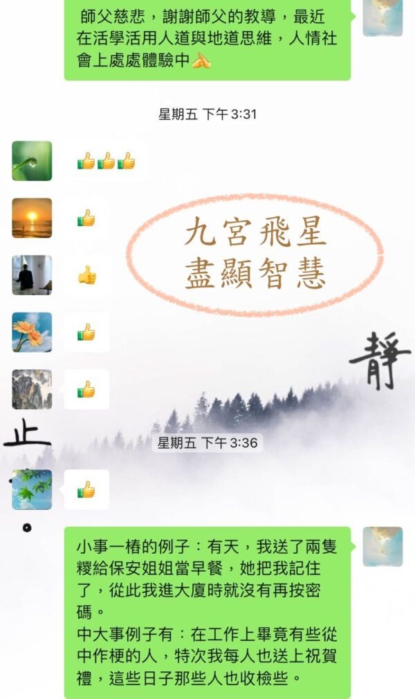九宮飛星 (北派秘傳)｜預測實戰班｜預測學｜占卜｜命理｜流年運程｜帝王之學 - Image 4
