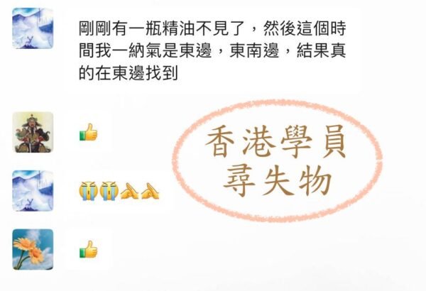 九宮飛星 (北派秘傳)｜預測實戰班｜預測學｜占卜｜命理｜流年運程｜帝王之學 - Image 5
