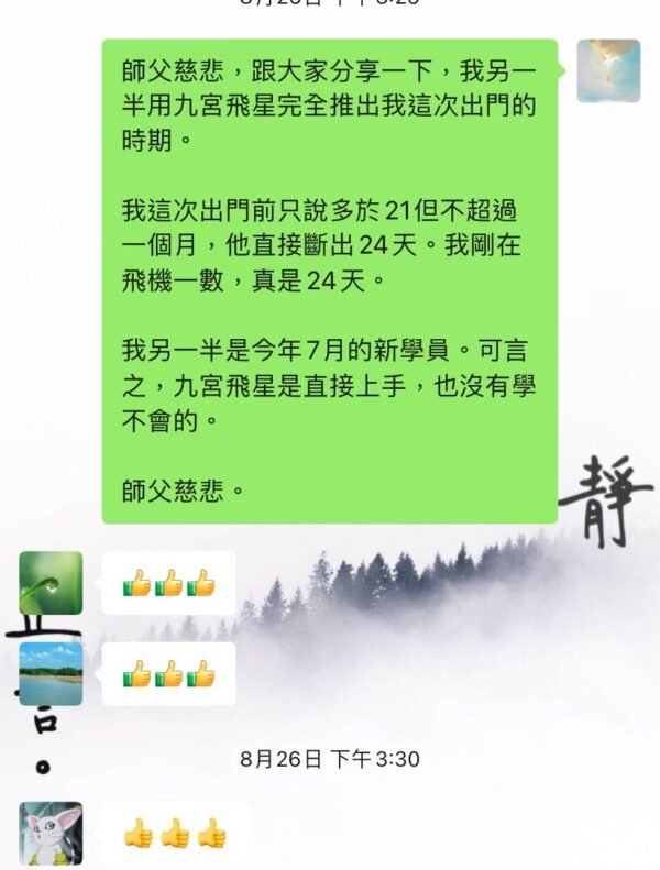 九宮飛星 (北派秘傳)｜預測實戰班｜預測學｜占卜｜命理｜流年運程｜帝王之學 - Image 6