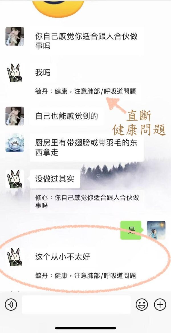 九宮飛星 (北派秘傳)｜預測實戰班｜預測學｜占卜｜命理｜流年運程｜帝王之學 - Image 8