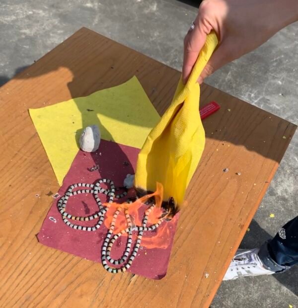 加持祭煉｜私人物品 ｜開光｜法祭 - Image 4